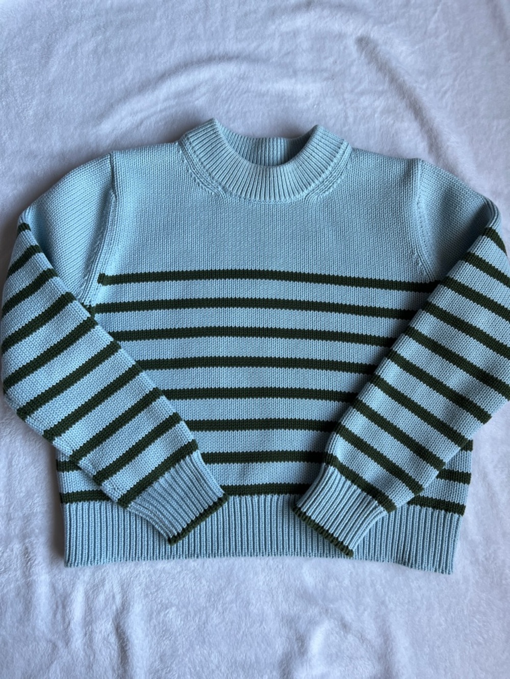 Tutto Striped Cotton Crewneck Sweater in Light Blue and Dark Green
